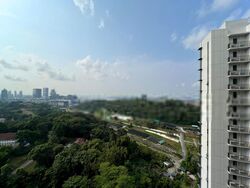 Normanton Park (D5), Apartment #414899311